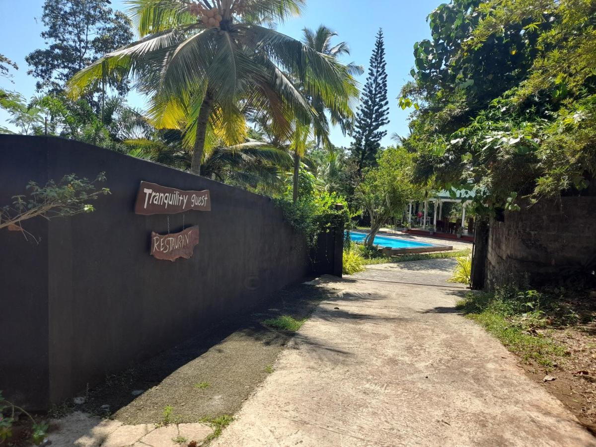 Tranquility Guest House Hikkaduwa Esterno foto