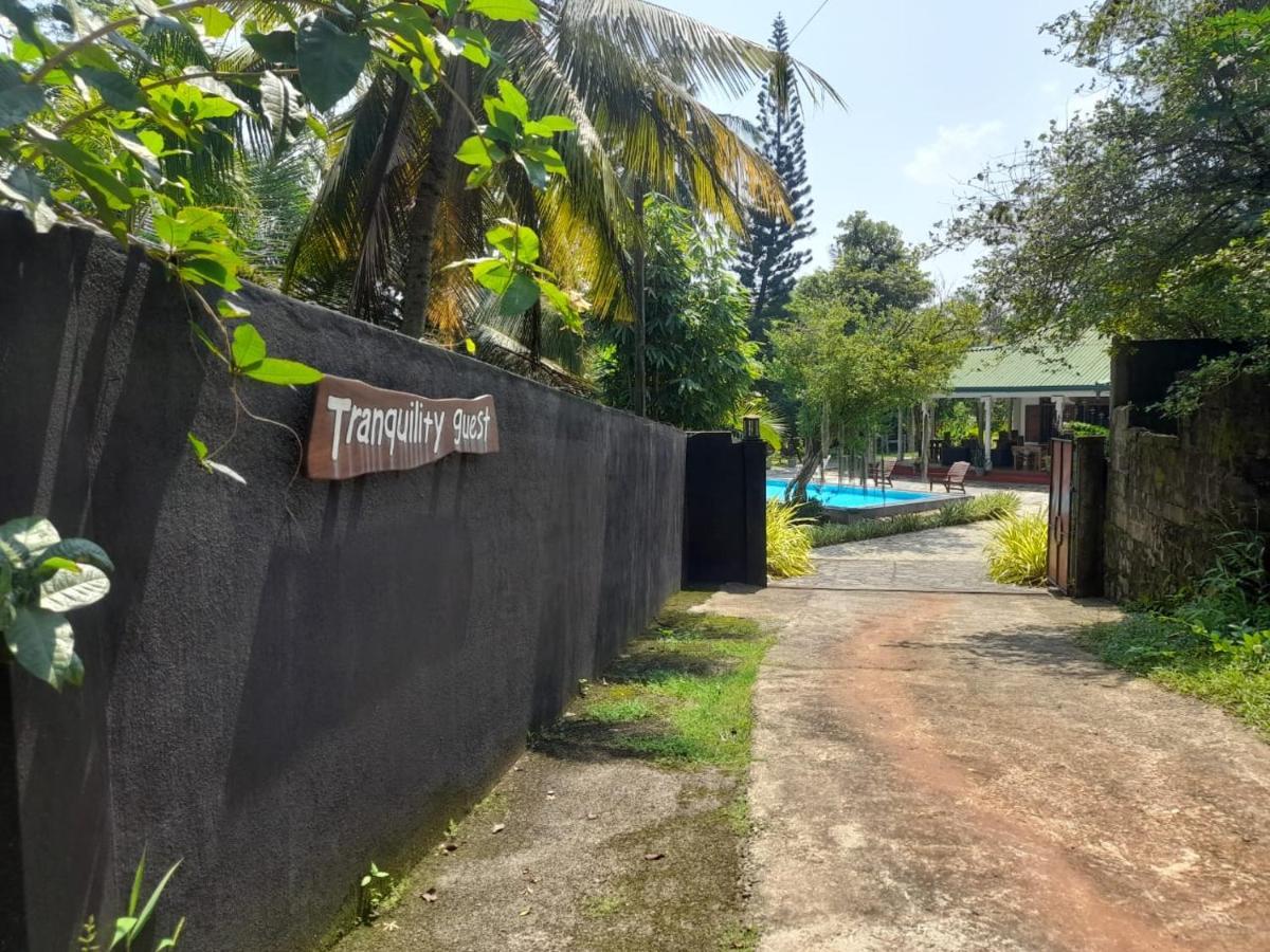 Tranquility Guest House Hikkaduwa Esterno foto