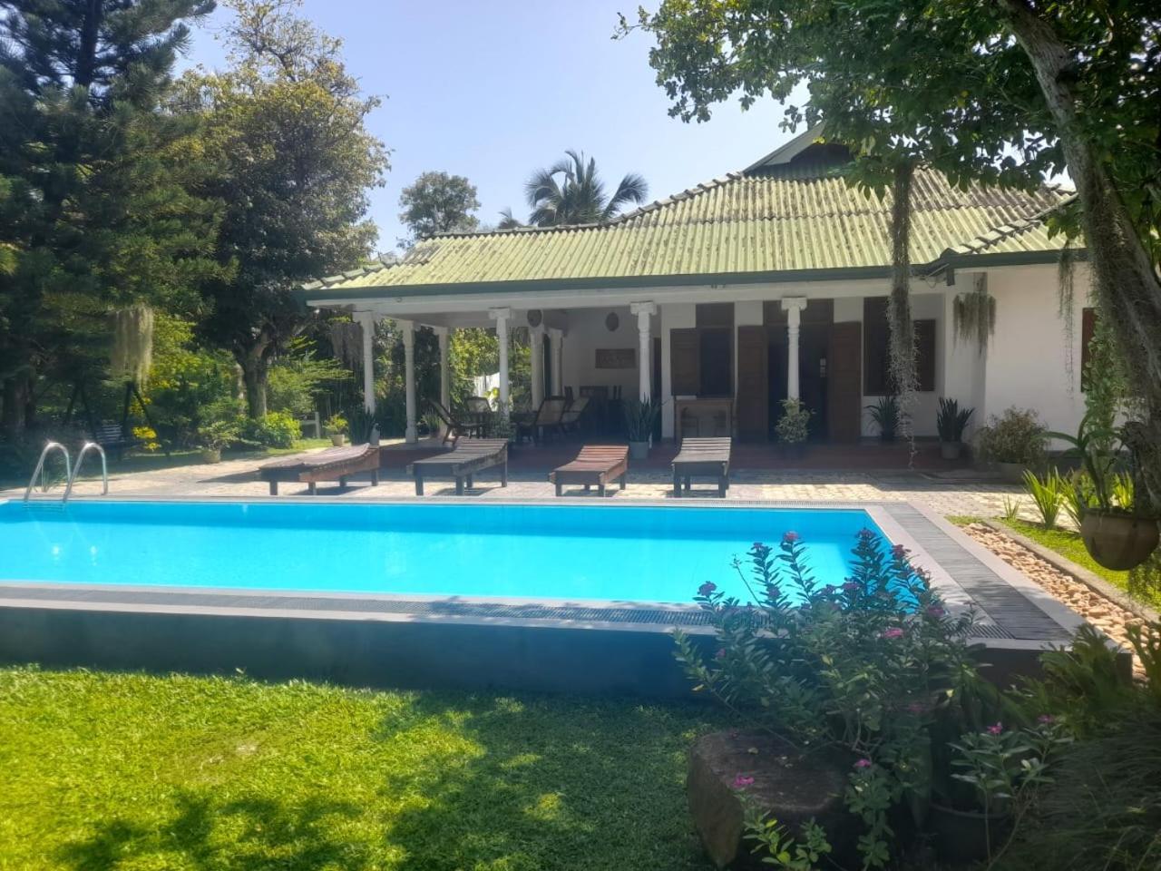 Tranquility Guest House Hikkaduwa Esterno foto