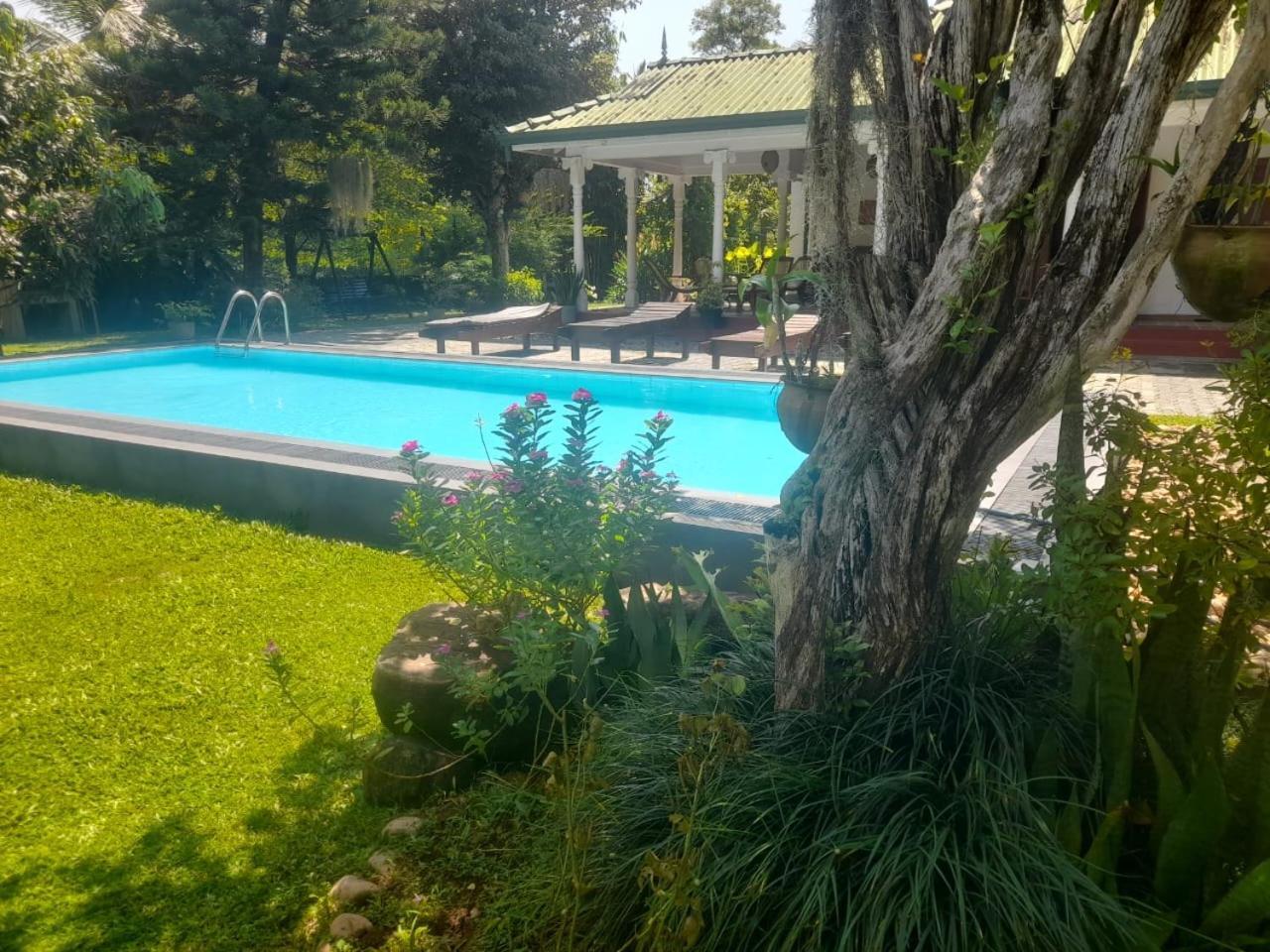 Tranquility Guest House Hikkaduwa Esterno foto