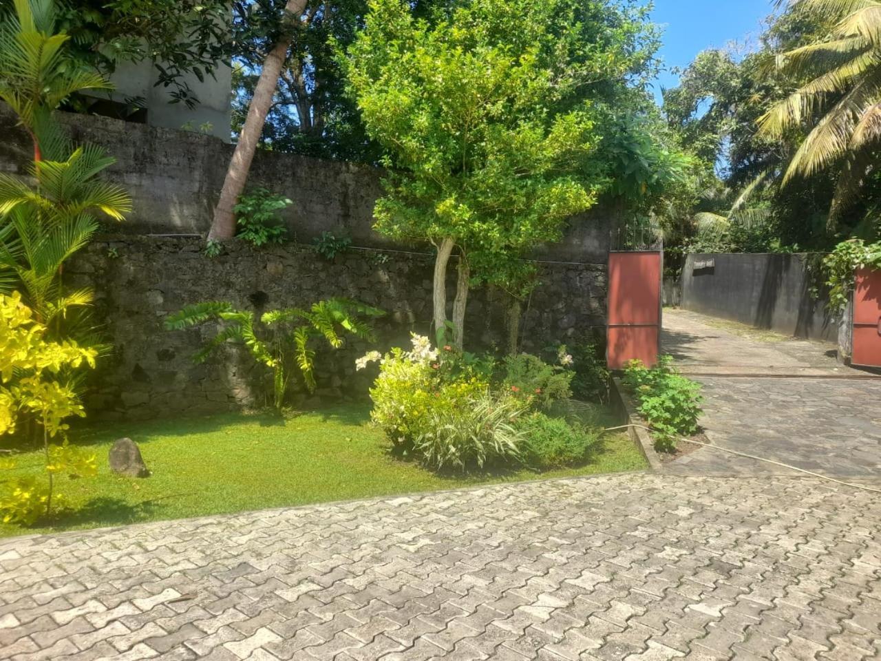 Tranquility Guest House Hikkaduwa Esterno foto