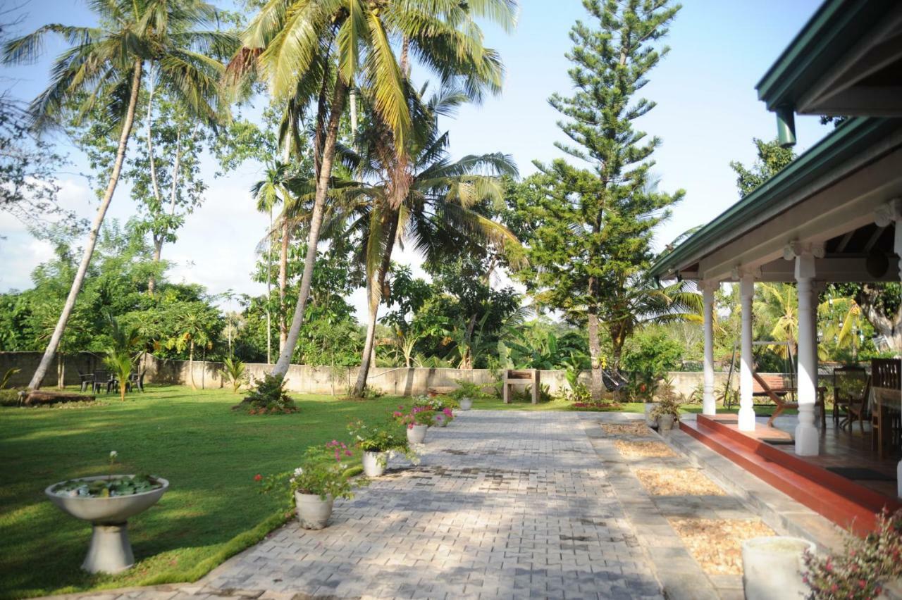 Tranquility Guest House Hikkaduwa Esterno foto